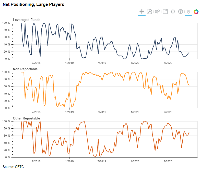 Net Positioning Large Players