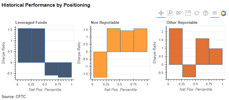Historical Performance by Positioning
