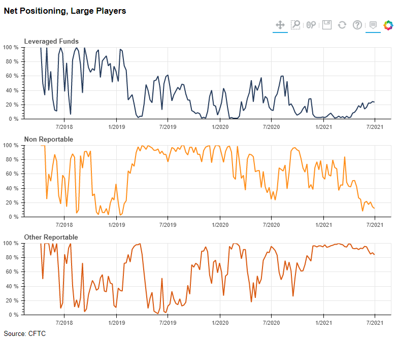 Net Positioning, Large Players
