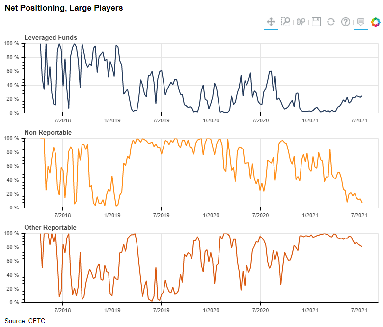 Net Positioning, Large Players
