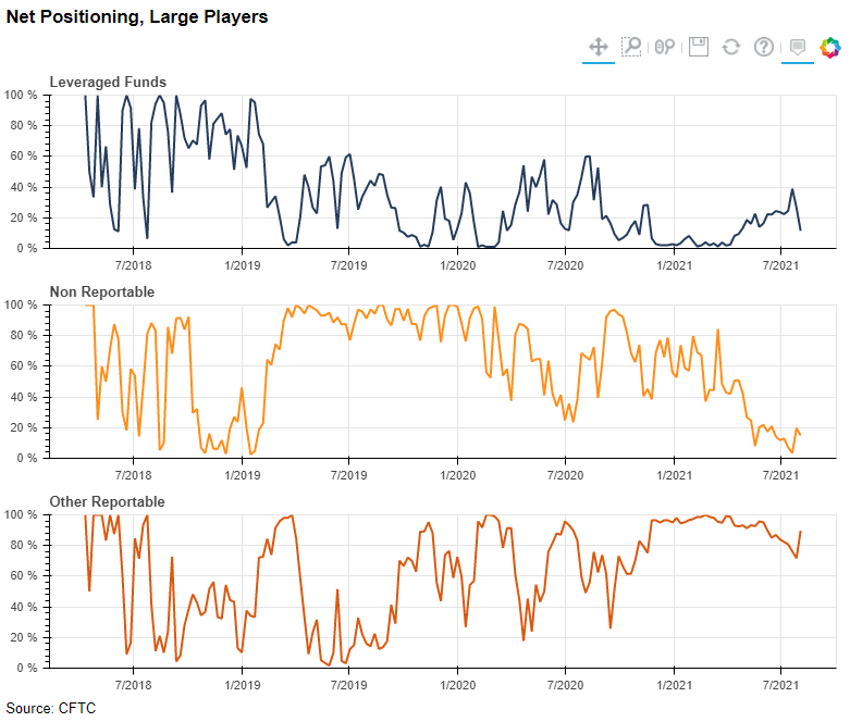 Net Positioning, Large Players